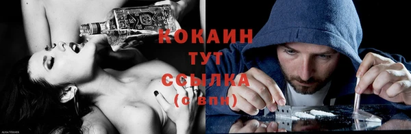дмт Надым