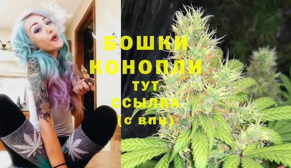 дмт Надым