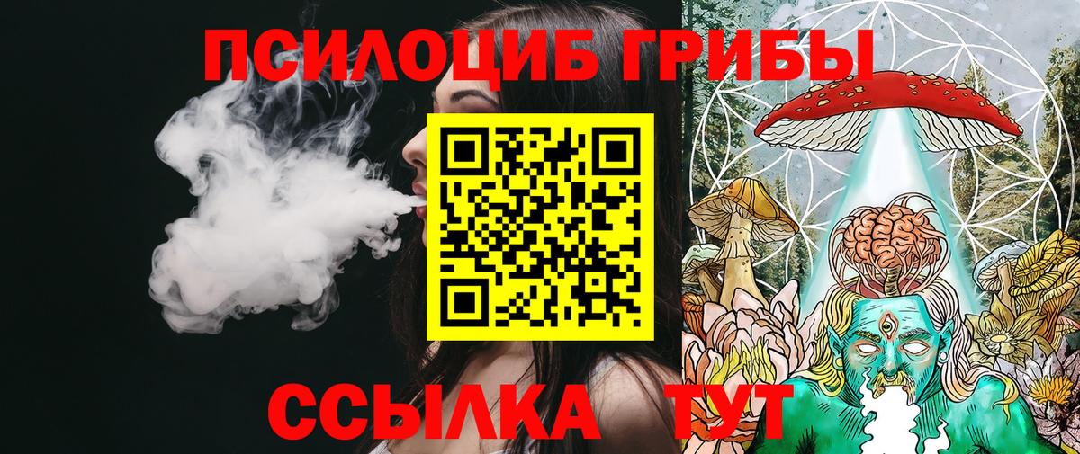 Псилоцибиновые грибы прущие грибы Новоалтайск