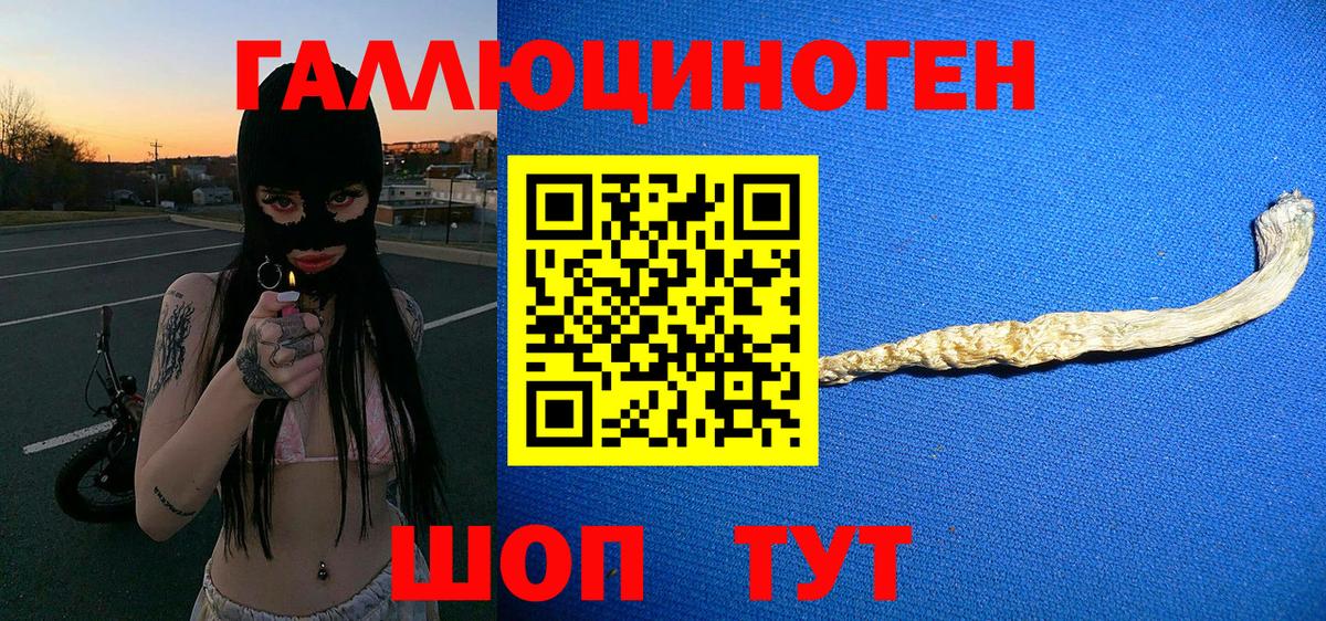 Галлюциногенные грибы ЛСД  купить закладку  Новоалтайск 