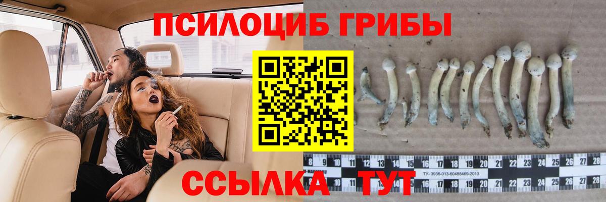 Новоалтайск  Псилоцибиновые грибы мицелий  Галлюциногенные грибы MAGIC MUSHROOMS  Вход с VPN 